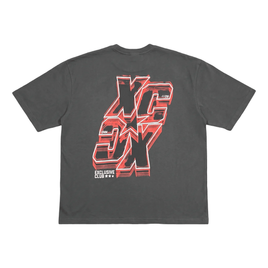 grey oversized printed tee - DNM.EG